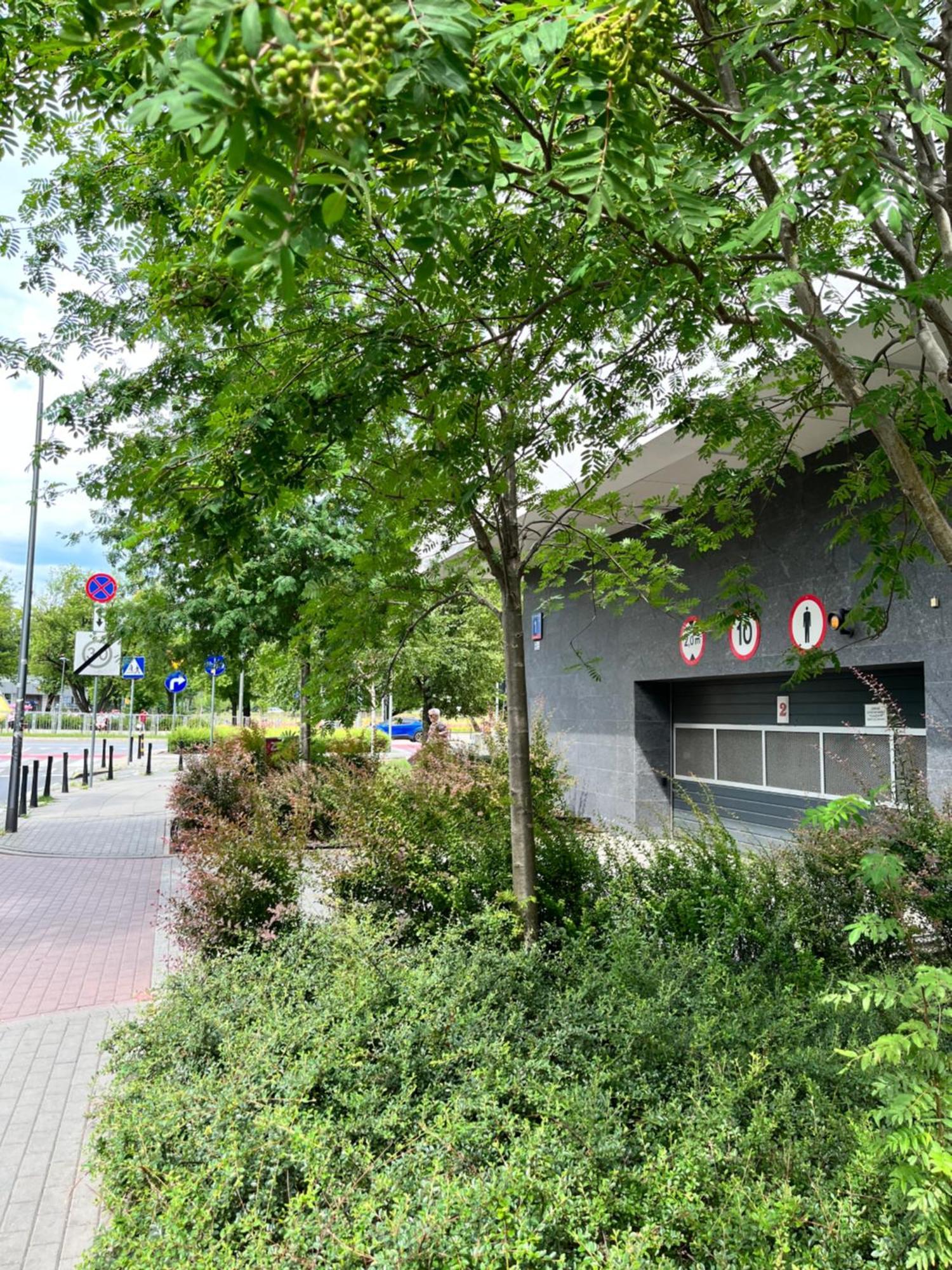 Apartment Metro Slodowiec Free Parking Warszawa Zewnętrze zdjęcie